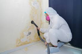 Best Emergency Mold Remediation  in Portland, IN